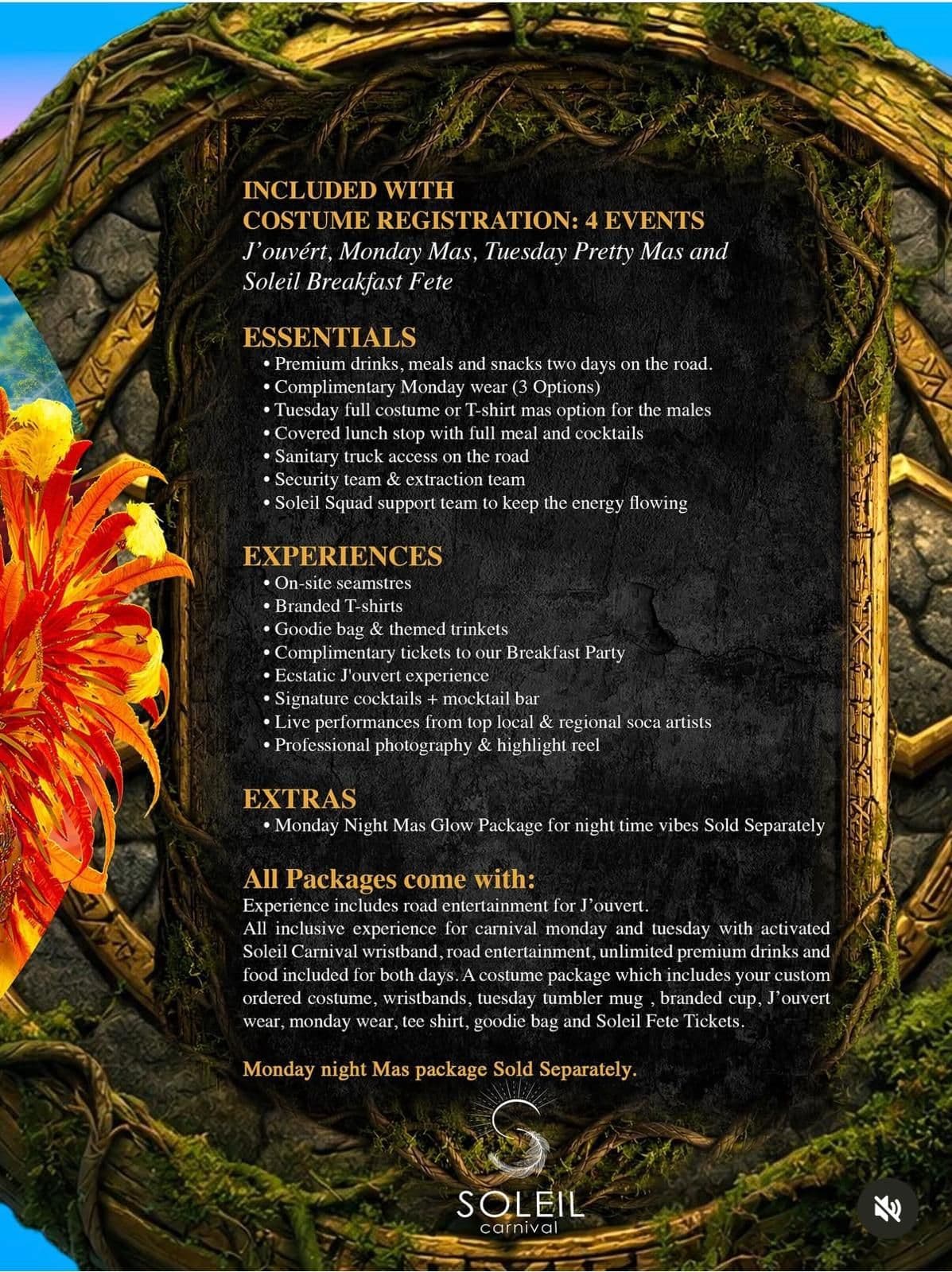 Package image